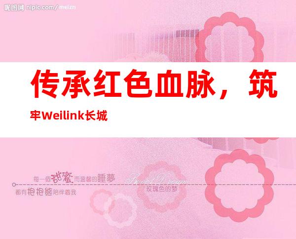 传承红色血脉，筑牢Weilink长城